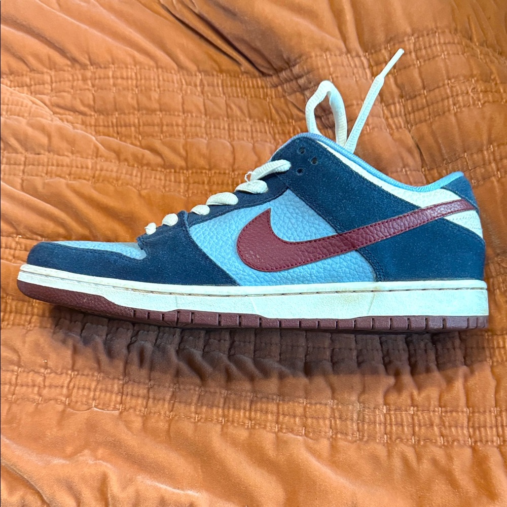 Nike sb dunk low pro